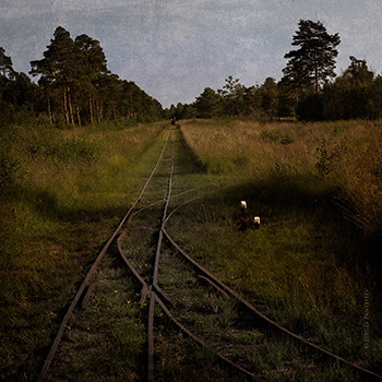 Там, где спят журавлики