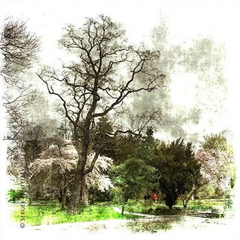 Park in Fürth
