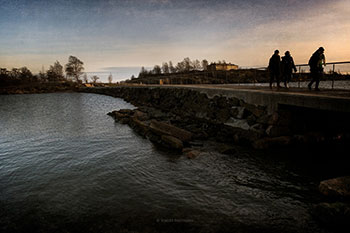 Тёплое море севера