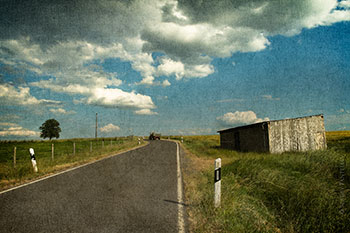 Дневник саламандры