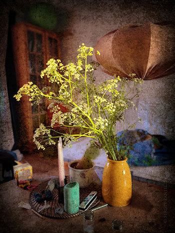 Вечерние цветы / Abendblumen