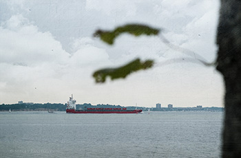 Kieler Förde