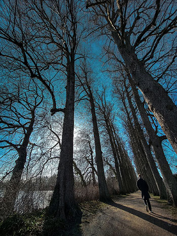 Schloßgarten / Парк у замка