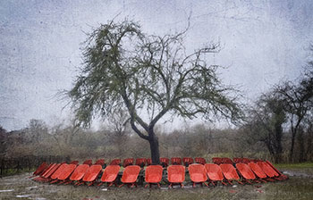 Дерево в Варнсдорфе / Baum in Warnsdorf
