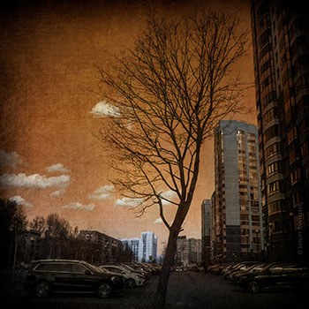 Квартет