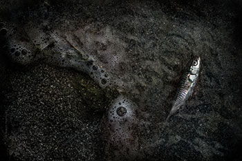 Живая и мёртвая вода