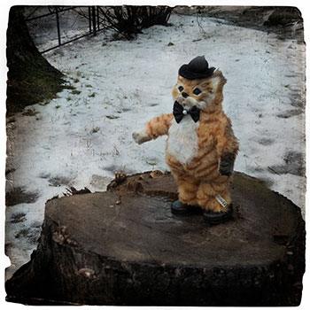 Кот в сапогах