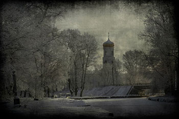 Белые души деревьев