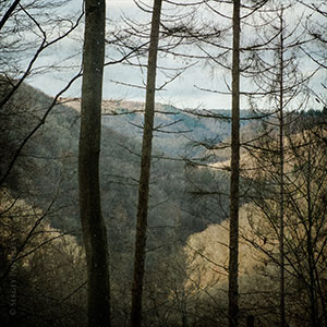 Baybachtal