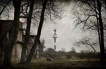 День радио