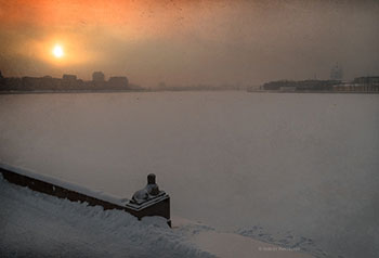Мороз, Нева и птицы