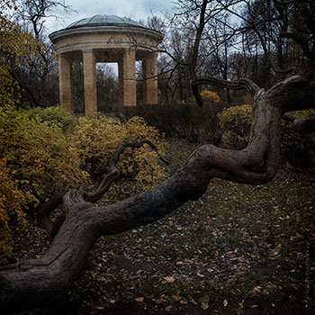 Екатерингофский